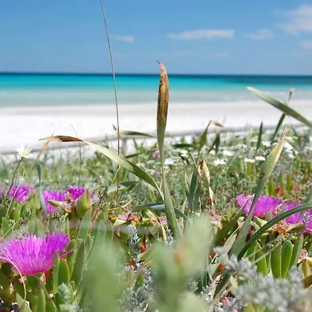 Villa Domus Cristianae Exclusive Pool Sea View *